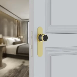 Quba Quatro, 5-Way Access Digital Tubular Lock