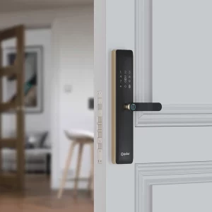 Quba Spectra, 5-Way Access Mortise Lever Handle